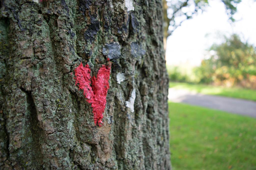 I gotta grow a&nbsp;love